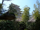 桜彩る福山城(広島県福山市) 2008.4.3