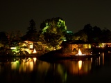 「宵待庭園」沢の池(さわのいけ)