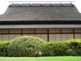 延養亭とタヌキ