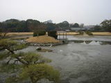 9年ぶりの水抜き