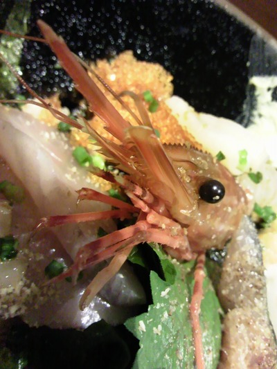 ebi