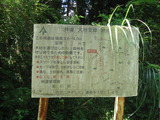 DSC00749