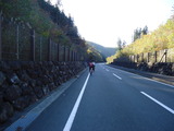 DSC00977