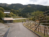 P5031278