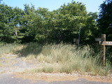 P6101443