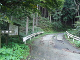 DSC00787