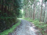 DSC00791