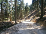 P5201356