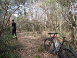 DSC00239