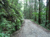 DSC00715