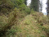 P5031265