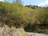 P4291229