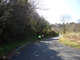 DSC00259