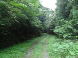 DSC00792