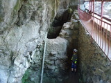 DSC00650