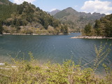 P4291219