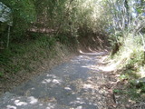 P6101451