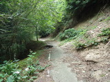 DSC00768