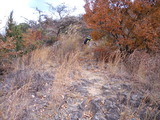 CA3G0796