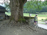 DSC00851