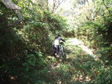 DSC00952