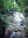 DSC00921
