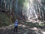 DSC00939