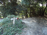 DSC00941