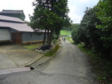 DSC00811