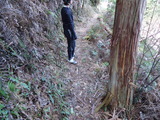 DSC00247