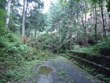 DSC00804