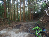 DSC00931