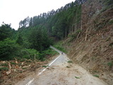 DSC00533