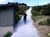 CA3G0808