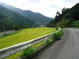 DSC00846