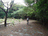 DSC00770
