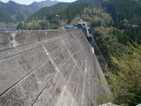 P4291190