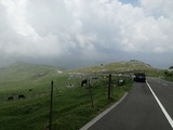 IMG_20170729_121350