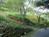 DSC00825