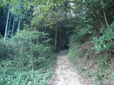 DSC00930