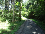 DSC00751
