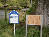 P5031280