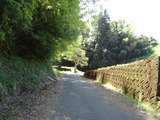 DSC00364