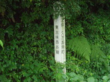 DSC00866