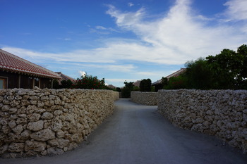 DSC02847
