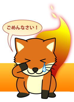 firefox2