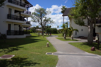 DSC01964