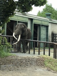 IMG_1901