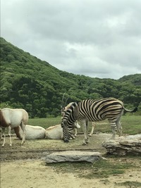 IMG_1903