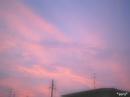 f3938b09.jpg
